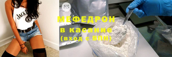 индика Михайловск