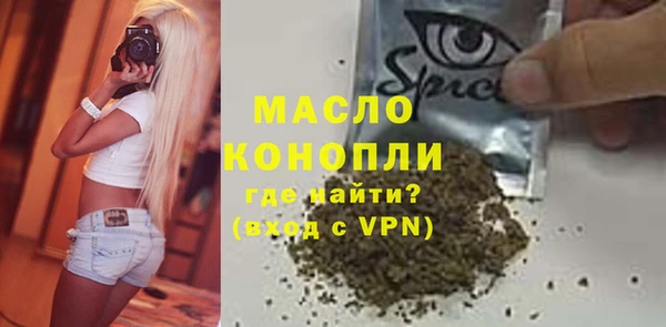 индика Михайловск