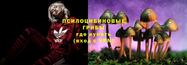 индика Михайловск