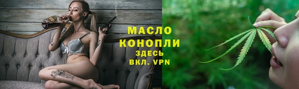 индика Михайловск