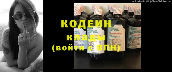 индика Михайловск