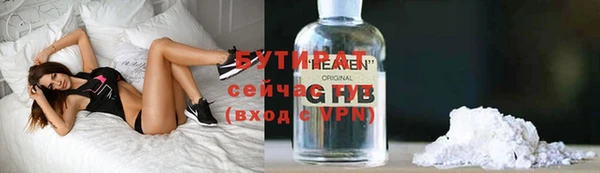 индика Михайловск