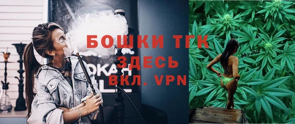 шишки Алапаевск