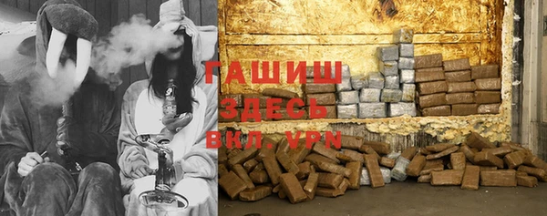 индика Михайловск