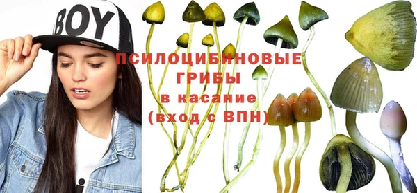 шишки Михайловка