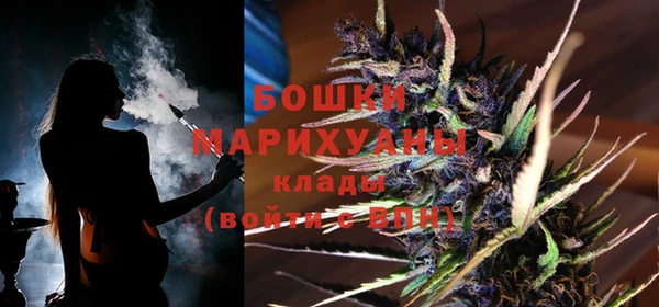 индика Михайловск