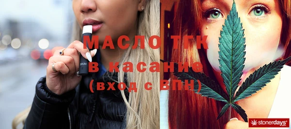 индика Михайловск