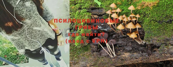 индика Михайловск