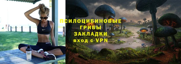 шишки Алапаевск