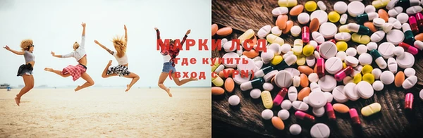 индика Михайловск
