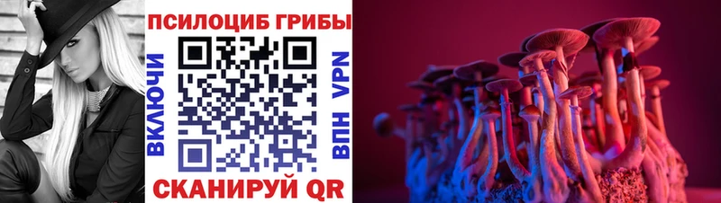 Псилоцибиновые грибы Psilocybine cubensis  дарнет шоп  Щигры 